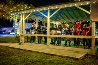 OHS Band performs at Lighting of the Park