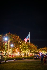 Light up Flagler Tree tops
