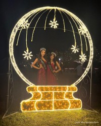Light Up Flagler - Ornament