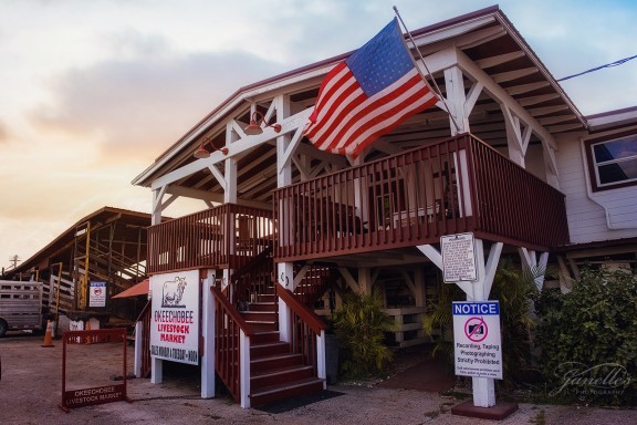 Okeechobee Livestock Market